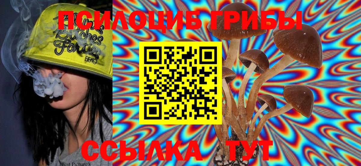 Галлюциногенные грибы Psilocybine cubensis Шебекино